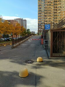 Uchitelskaya Street, 18к1 ، سان بطرسبرغ: صورة