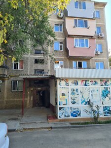 Zerdelı kóshesi, 1А ، شيمكنت: صورة