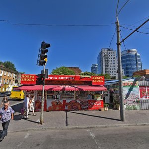 Viacheslava Lypynskoho Street, 5, Dnipro: photo