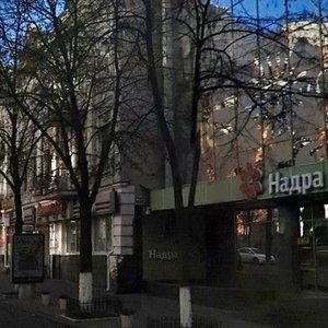 Sichovykh Striltsiv Street, 13, Kyiv: photo