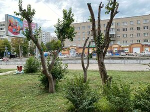 Severo-Zapadnaya Street, 41/16, Barnaul: photo