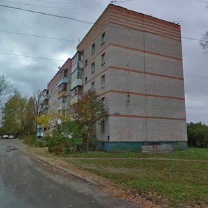 Shkolnaya Street, 10, Kurovskoye: photo