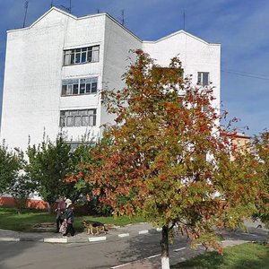 Olimpiyskaya Street, 11, Belgorod Oblast: photo