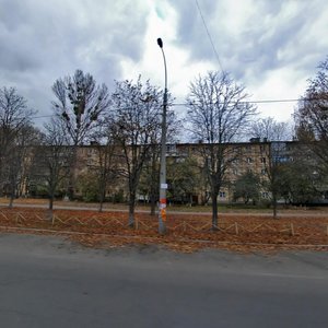 Koltsova Boulevard, 24, Kyiv: photo