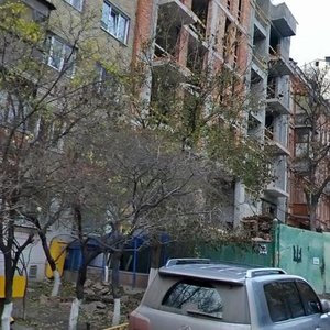 Pankivska Street, 14, Kyiv: photo