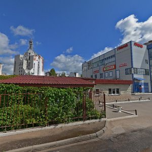 Bolshaya Moskovskaya Street, 106А ، : صورة
