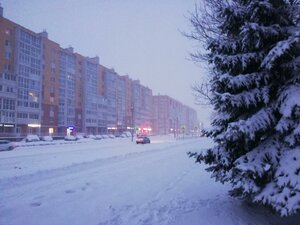 Lomonosova Street, 43, Veliky Novgorod: photo