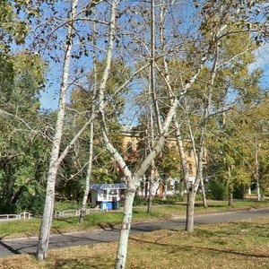 Kulturnaya Street, 16, : foto