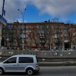 Oleny Telihy Street, 21, Kyiv: photo