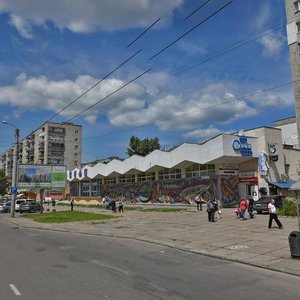 Львов, Улица Владимира Великого, 26А: фото