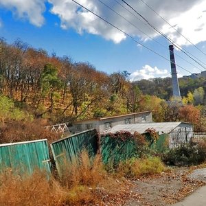 Nyzhnoiurkivska Street, No:12, Kiev: Fotoğraflar