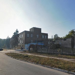 Vulytsia Yelyzavety Shchedrovych, 73, Zaporizhia: photo