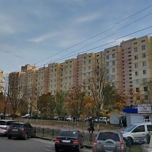 Heroiv Dnipra Street, 32, Kyiv: photo