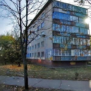 Perova Boulevard, 25А, Kyiv: photo