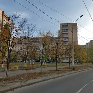 Heroiv Stalinhrada Avenue, 54, Kyiv: photo