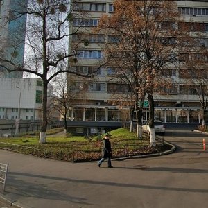 Viacheslava Chornovola Street, 30, Kyiv: photo
