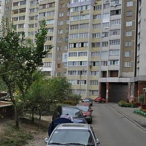 Akademika Zabolotnoho Street, 44, Kyiv: photo