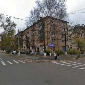 Ushynskoho Street, 30/1, Kyiv: photo