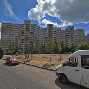 Mykoly Lavrukhina Street, 11, Kyiv: photo