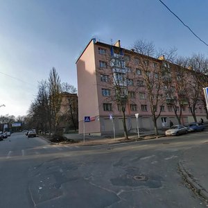 Profesora Pidvysotskoho Street, 3А, : foto