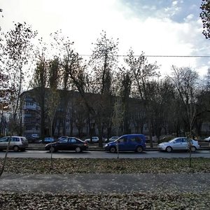 Vatslava Havela Boulevard, 11, Kyiv: photo