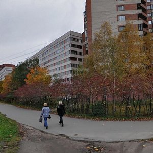 Stachek Avenue, 87, Saint Petersburg: photo