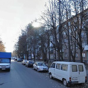Vulytsia Levanevskoho, 73А ، : صورة