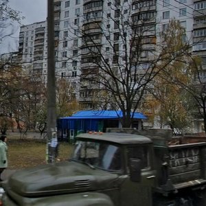 Milіutenka Street, 17, Kyiv: photo