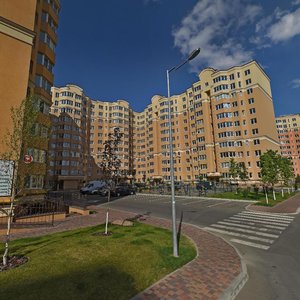 Киевская область, Улица Мира, 46: фото