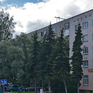 Pskovskaya Street, 22 ، : صورة