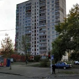 Heroiv Stalinhrada Avenue, 51, Kyiv: photo
