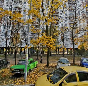 Ihoria Shamo Boulevard, 10, Kyiv: photo