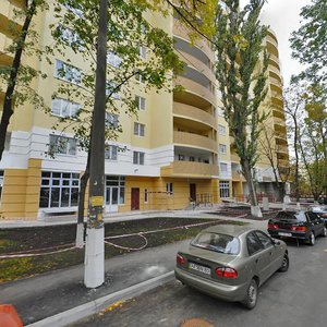 Stepana Vasylchenka Street, 3/24, Kyiv: photo