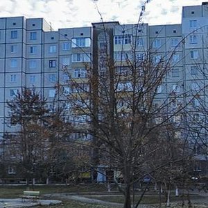 Tarashchanska vulytsia, 161, : foto
