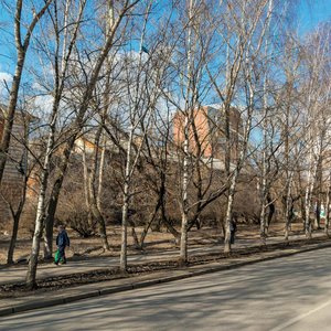 Blyukhera Street, 21, Yekaterinburg: photo