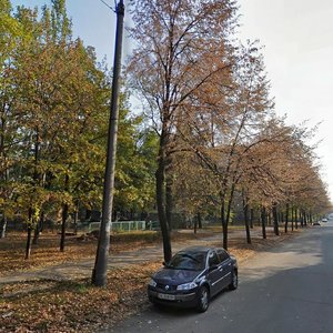 Oleksandrivska vulytsia, 104, Zaporizhia: photo