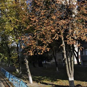 Nizhynska Street, No:7, Kiev: Fotoğraflar