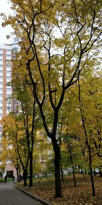 Vatutina Street, 18к2, Moscow: photo