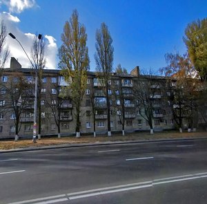 Oleny Telihy Street, 7, Kyiv: photo