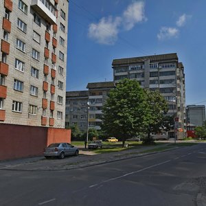 Kulparkivska vulytsia, 156, Lviv: photo