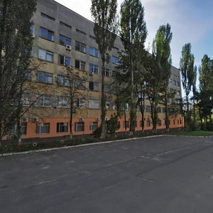 Novopecherskyi Lane, 3к2, Kyiv: photo