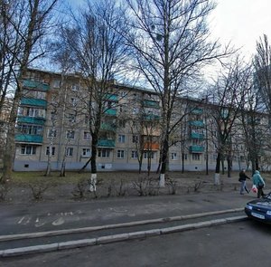 Heroiv Sevastopolia Street, 31, Kyiv: photo