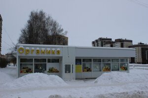 Traktorostroiteley Avenue, 81Б ، : صورة