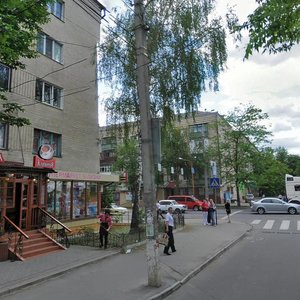 Vulytsia Pyrohova, 111, Vinnytsia: photo