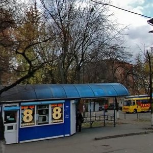 Akademika Navashyna Street, 9, : foto