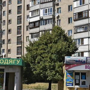 Arkhitektora Verbytskoho Street, 15, Kyiv: photo