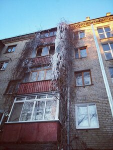 Нижний Новгород, Улица Краснодонцев, 4: фото