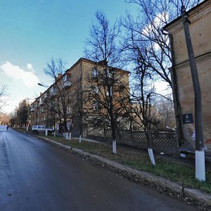 Volkova Street, 8, Tula: photo