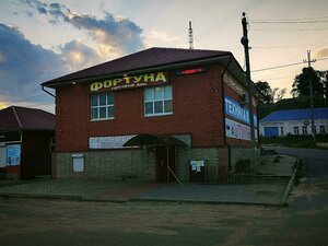 Ulitsa Dzerzhinskogo, 4Б, Ryazan Oblast: photo