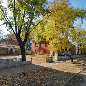 Muzychna vulytsia, 5, : foto